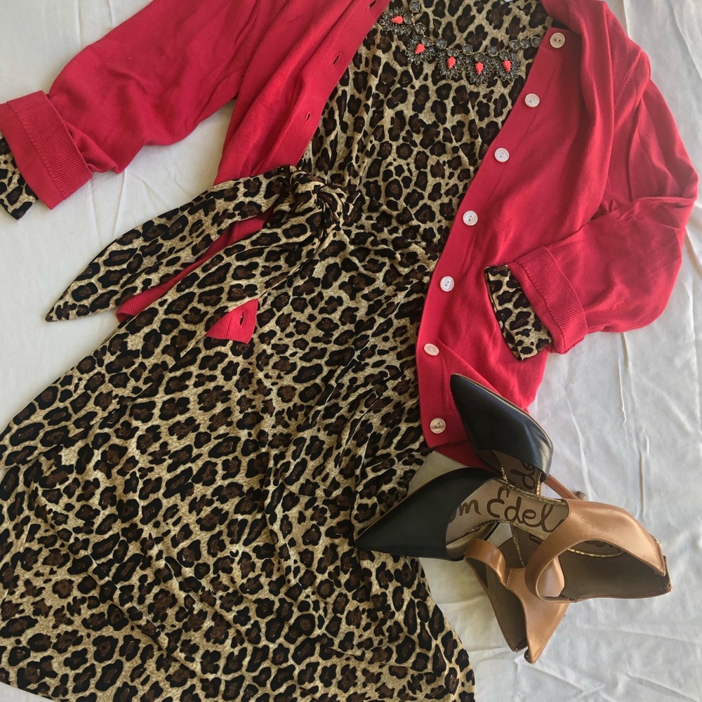 Ultra Flattering Dress